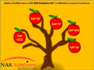 SAP TRAINING WITH NAS SOLUTIONS, LUCKNOW / BE INDUSTRY READY